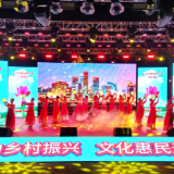 【视频】常宁西上艺术团走进荷花里唱响乡村振兴新乐章