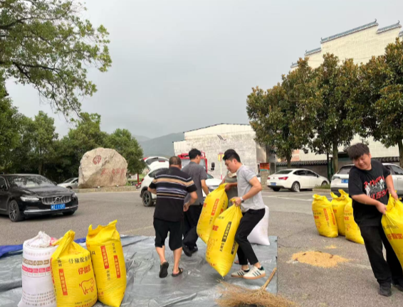 庙前镇：与风雨赛跑  为种粮大户挽回损失上千元