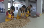 项目建设正当时  电商供应链云仓：智链乡村 农货“秒发”全国