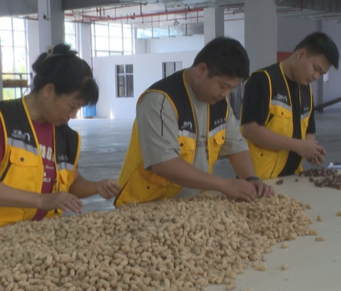 【视频】项目建设正当时  电商供应链云仓：智链乡村 农货“秒发”全国