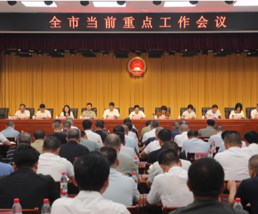 罗卫华：抓实抓细当前重点工作 为全年经济社会高质量发展奠定坚实基础