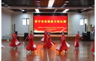 【视频】常宁首届柔力球赛“柔”耀登场