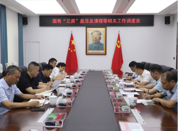 罗卫华调度国有“三资”盘活及清理工作 高效规范推进 确保各项任务目标如期圆满完成