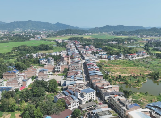 【视频】最是乡音解乡愁●我的家乡在变化(290)洋泉镇洋泉村:百万级村的幸福密码