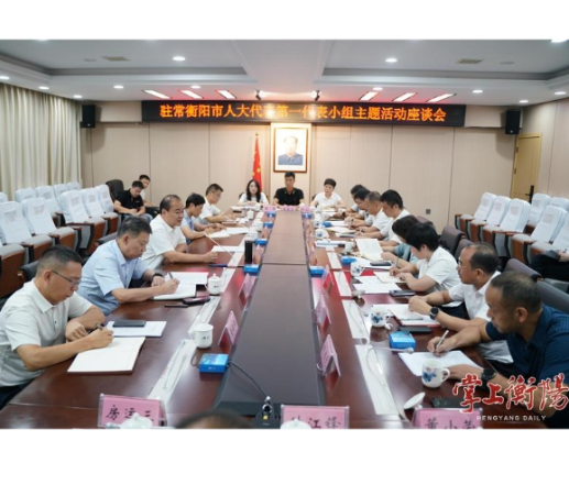 朱健以衡阳市人大代表身份参加常宁市第一代表小组主题活动