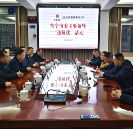 【强执行•开新局（3）】 罗卫华到水口山经济开发区部分企业开展“送解优”活动