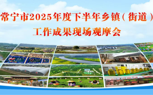 重磅预告！1月18日至20日，锁定 “常宁融媒 ”APP，直击常宁市2025年度下半年乡镇（街道） 工作成果现场观摩会