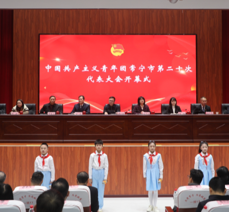 共青团常宁市第二十次代表大会开幕