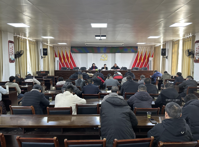 【视频】王一花到大堡乡宣讲党的二十届四中全会精神