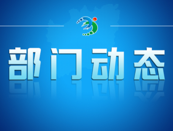 市政服务沉一线 纾解民忧见实效