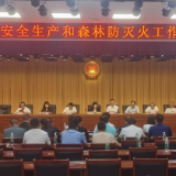 常宁召开安全生产和森林防灭火工作会
