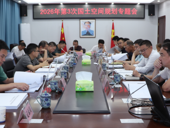 常宁市召开2026年第3次国土空间规划专题会议