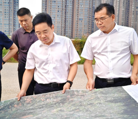罗卫华调研城市精细化治理工作