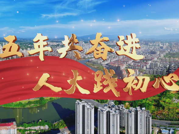 【视频】五年共奋进 人大践初心丨强村富民 代表有为