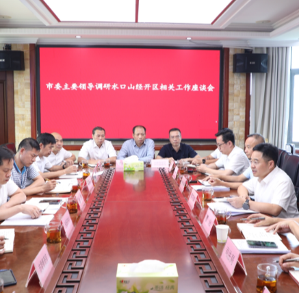 罗卫华到水口山经开区调研项目建设相关工作