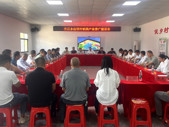 兰江乡：党建引领联村共建 鹌鹑产业正加速成势