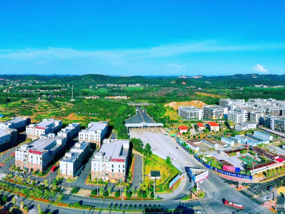 【常宁这五年①工业产业篇】工业强脊 产业成势