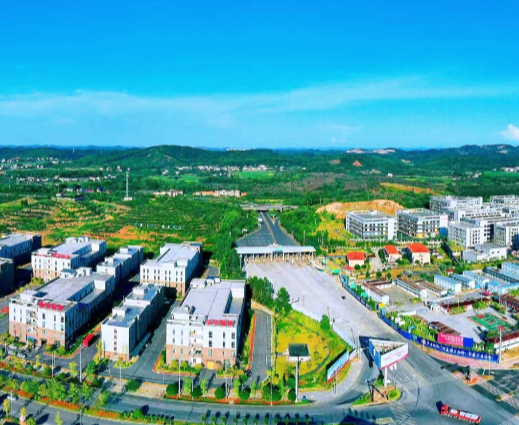 【常宁这五年①工业产业篇】工业强脊 产业成势