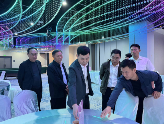段鸣检查政协常宁市第十二届委员会第一次会议筹备工作