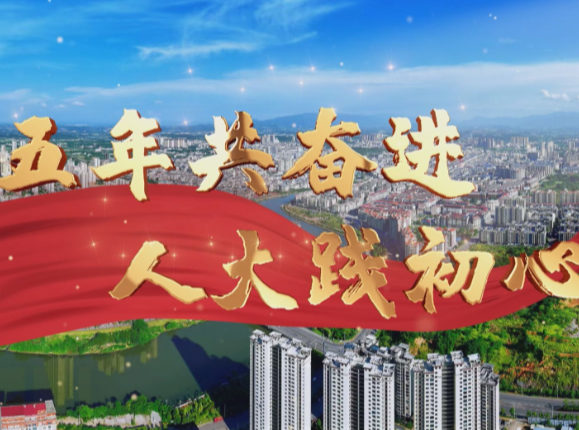 【视频】五年共奋进 人大践初心丨督办问效 宜城焕新