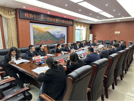 政协委员分组讨论 建言献策凝共识