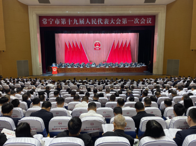 【视频】市十九届人大一次会议举行第二次全体会议