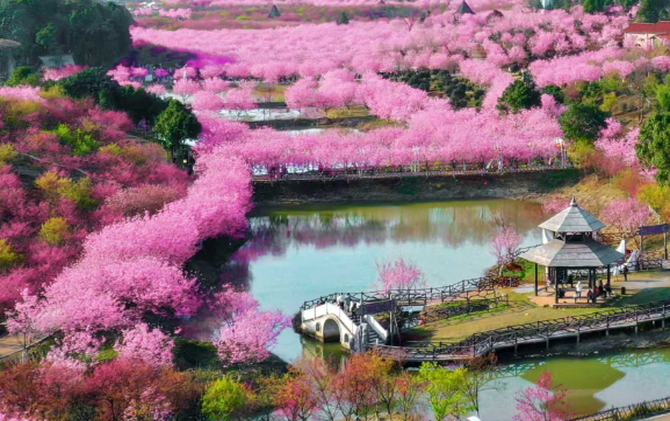 【常宁这五年⑦文旅融合篇】山水有约 常宁有戏