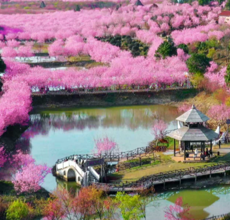 【常宁这五年⑦文旅融合篇】山水有约 常宁有戏