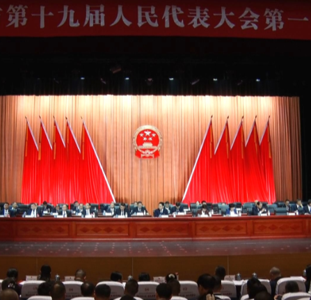 市十九届人大一次会议举行第三次全体会议