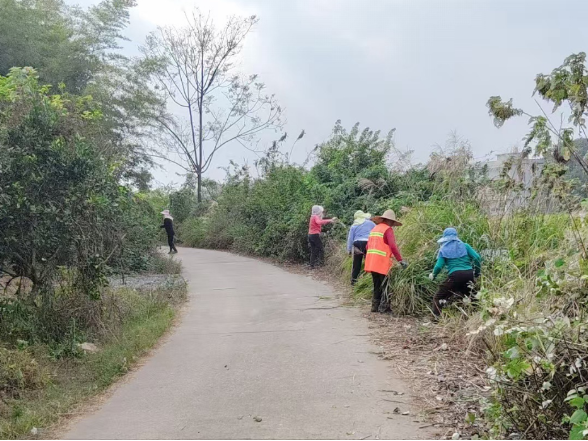 曲潭街道长塘村：清杂护路保通行 为民办事暖民心