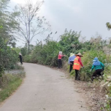 曲潭街道长塘村：清杂护路保通行 为民办事暖民心