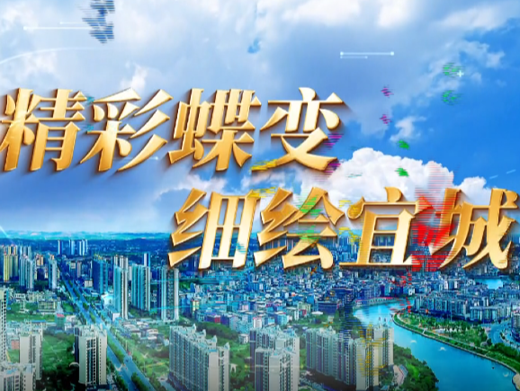 专题片丨精彩蝶变 细绘宜城