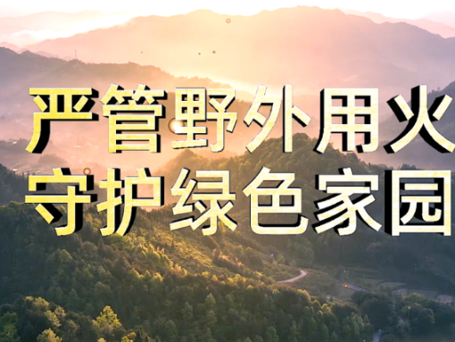 严管野外用火 守护绿色家园