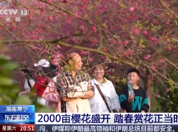 美出圈！央视《东方时空》栏目报道常宁百万樱花园！