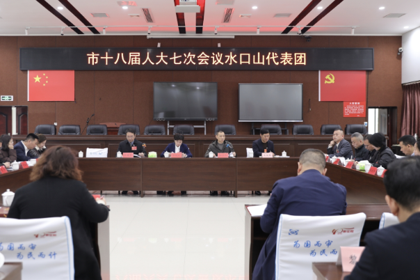 邓艳红参加水口山代表团审议