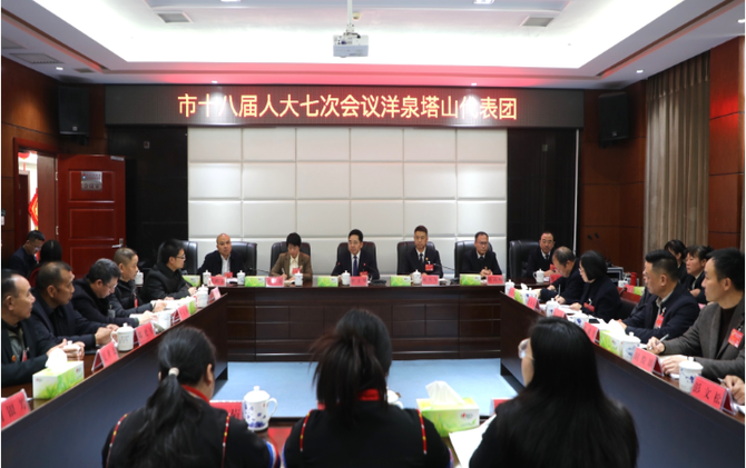 罗卫华参加洋泉塔山代表团审议 以“排头兵”姿态 绘就发展新蓝图