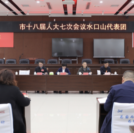 邓艳红参加水口山代表团审议