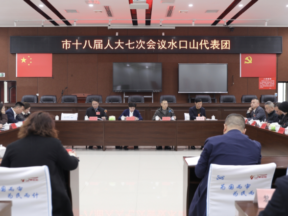 邓艳红参加水口山代表团审议
