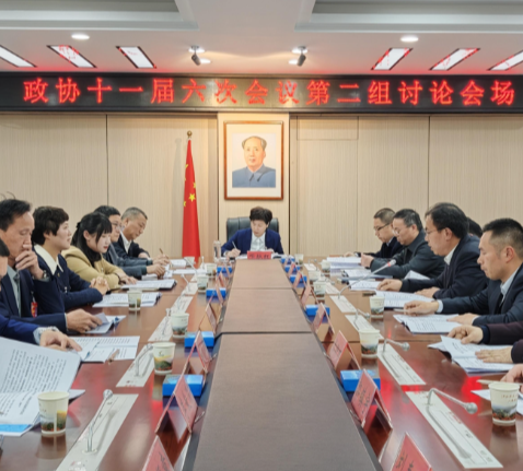 邓艳红参加经济界二组讨论