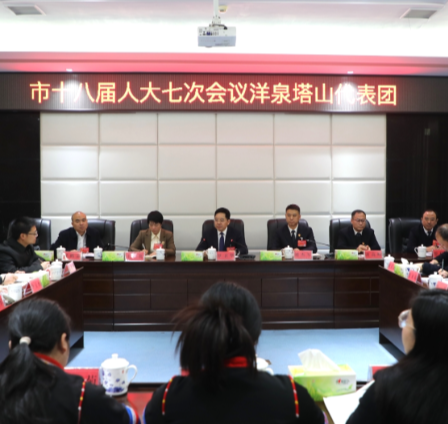 罗卫华参加洋泉塔山代表团审议 以“排头兵”姿态 绘就发展新蓝图