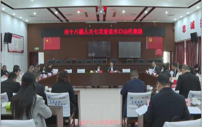 【视频】奔赴“十五五 ”奋进新征程 献良策 助发展 人大代表分团审议人大常委会工作报告和“两院”工作报告