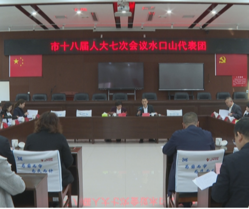 【视频】奔赴“十五五 ”奋进新征程 献良策 助发展 人大代表分团审议人大常委会工作报告和“两院”工作报告