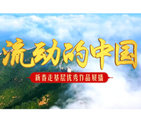 2026新春走基层无声的战友 马背上的年