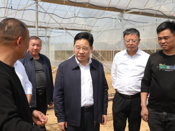 【视频】罗卫华调研春耕备耕相关工作