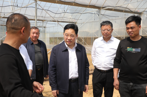 【视频】罗卫华调研春耕备耕相关工作