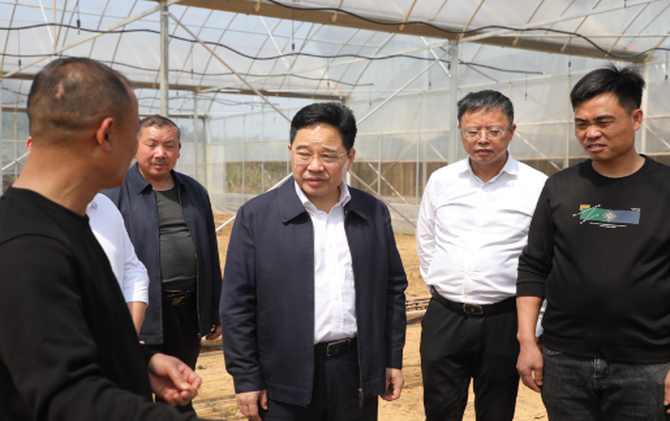 【视频】罗卫华调研春耕备耕相关工作