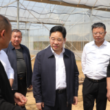 【视频】罗卫华调研春耕备耕相关工作