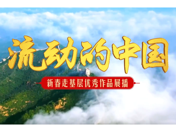 2026新春走基层 云南虫情监测