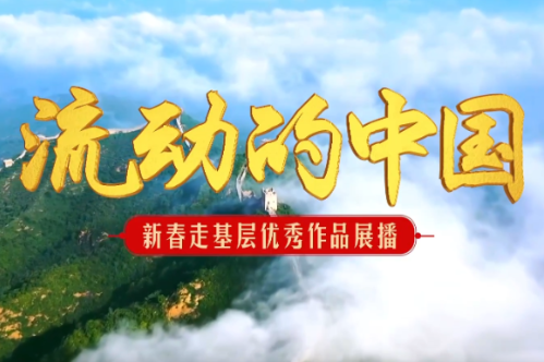 2026新春走基层 云南虫情监测