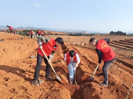 植树添绿正当时 白沙镇光荣村再添百株太秋甜脆柿苗